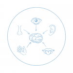 terapia rehabilitacja neuropsychologiczna psycholog neuropsycholog radom klaudia mazur